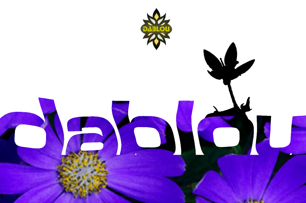 Dablou ° Logo und Design für ein indisches Modelabel